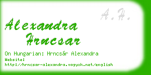 alexandra hrncsar business card